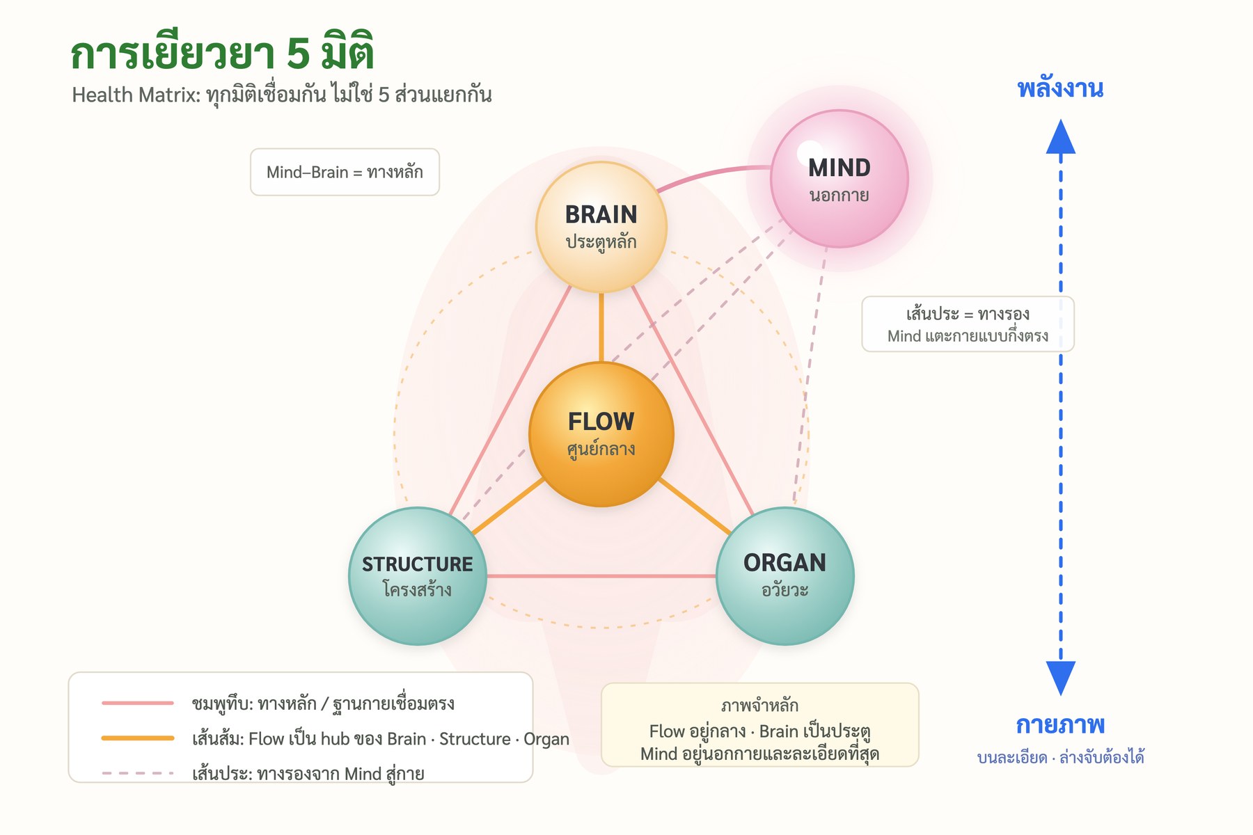 แผนภาพลูกโซ่ Health Matrix 5 มิติ